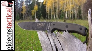 ESEE 6 Knife Review My Trusted Friend [upl. by Yelir]