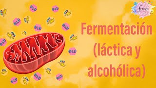 Fermentación láctica y alcohólica Aspectos generales [upl. by Etnaid256]