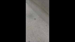 Spotless carpet stain removal [upl. by Aniretake]