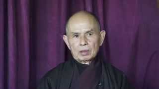 Thich Nhat Hanh prendre soin de lenfant intérieur [upl. by Steffy]