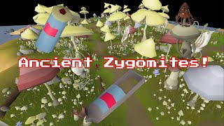 OSRS  Zygomites Slayer Guide Ancient Zygomites [upl. by Nhguahs]