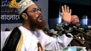 Allama delowar hossain saidee tafsir of aiyatul kursi part 4 [upl. by Engen]