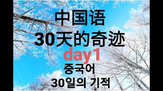 day1중국어 30일의 기적0부터 실용 중국어 배우기말하기 시험 필수 구문100표준어하면서하다 [upl. by Nnayrb]