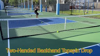 Two Handed Backhand Topspin Drop [upl. by Cerveny229]