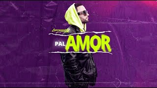 Flow 06  Pal Amor Video Lyrics  Barraganista [upl. by Bord274]