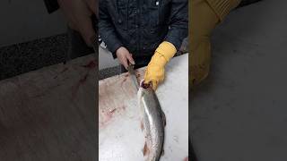 How To Remove Salmon Fish Bones amp Fillet [upl. by Nered]