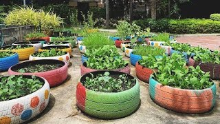 Reuse Old Car Tire  Kitchen Garden  Plant Vegetables🥦🥕🌽 [upl. by Jasisa]