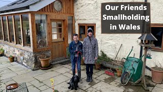 Visit A Smallholding In Wales  Home Allotment Gardening UK [upl. by Anelegna]