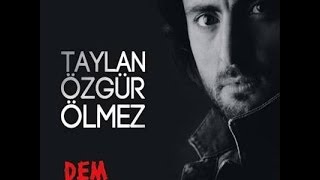 Taylan Özgür Ölmez  Hesrete  Dem 2014 © Z Müzik [upl. by Yonita572]