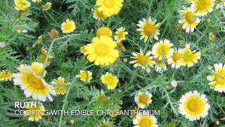 Cooking edible chrysanthemum [upl. by Eisoj]