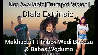 Not Available Trumpet Vision  DlalaExtrinsic × Makhadzi × Tribby × Babes Wodumo [upl. by Aridan]