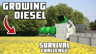 GROWING DIESEL TO RUN MY TRACTORS ON  Survival Challenge  Episode 70 [upl. by Namrac]