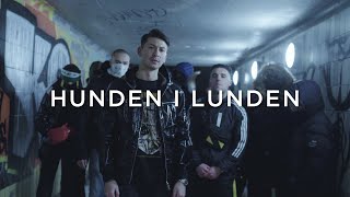 Hunden i Lunden│Katten i Trakten PARODI [upl. by Aikkan]