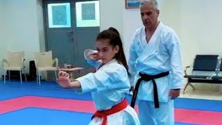 PERFECT Training  Performance Kata Gojushihodai Coach Seyed Alaedin Nekoofar [upl. by Eenaj]