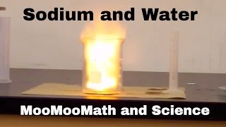 Sodium in water explosion Chemical Reaction [upl. by Sivatco640]