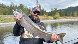 Clearwater River Steelhead Report 101623 Awesome fishing leading into Catch and Release Season [upl. by Neyugn760]