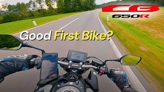 2024 Honda CB650R  15000KM Review One Year Ownership Experience [upl. by Ydnih]