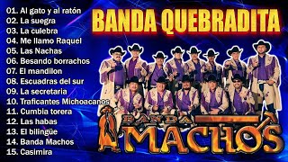 Top 20 de las Mejores Canciones de Banda Machos  Las Mas Quebradita de Banda Machos [upl. by Aholla]