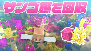 まだ夏を諦めない！！サンゴ礁の海で癒されながら素材回収！🌴⛵【マイクラ  マインクラフト  minecraft】128 [upl. by Patsis]