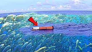 Ep24 one floater is a lot of fish sheltered fishing fish fishingvessel [upl. by Gaal]