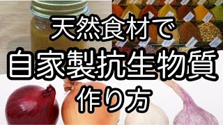 天然食材で【自家製抗生物質の作り方】 簡単 自然療法 How to make homemade antibiotics with natural ingredients [upl. by Hooge]