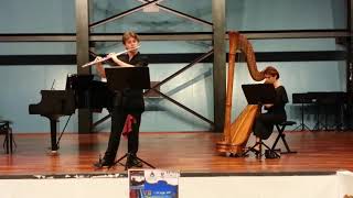 Bizet  Entracte Carmen for flute and harp [upl. by Natalie870]