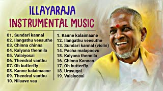 Ilayaraja Instrumental Music amp BGMs  ilayaraja instrumental music collectionFlute Violin veenai [upl. by Campball473]