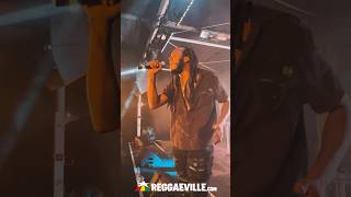 Samory I  Rasta Nuh Gangsta  Live in Dortmund 2024 [upl. by Aicertal]