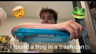 I found a frog in the TRASH [upl. by Merideth]