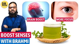 Apna Demag quotBRAHMI BUTIquot Se Tez Karen Bacopa Monnieri Benefits on Brain  Dr Ibrahim [upl. by Ennaus]