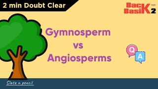 Angiosperms Vs Gymnosperms  Quick 2 min Comparison  Basic Concept  Slate and Pencil [upl. by Nylesoy]