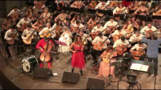 Evdokias Zeimpekiko  M LOIZOS 100 Guitars EVANGELOS BOUDOUNIS  String Demons [upl. by Drobman]