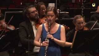 Wolfgang Amadeus Mozart Clarinet Concerto in A major K622 [upl. by Eicak]