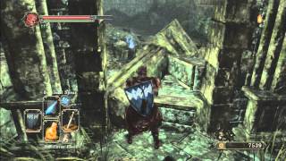 Dark Souls 2 How to get to Shrine of Winter amp Drangleic Castle [upl. by Shelbi]