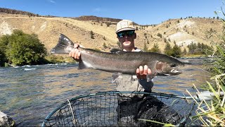 Steelhead on the Deschutes  Short Film 1 [upl. by Hterag]