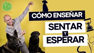 Cómo ENTRENAR a tu PERRO para SENTAR y NO LEVANTAR l ✅ TRANQUILIDAD [upl. by Lotz262]