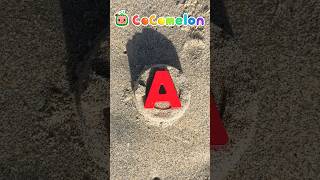 Learn ABCs at the Beach Easy DIY Lessons cocomelon shorts [upl. by Cayser321]