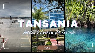 Tansania Vlog 1 [upl. by Scoter903]