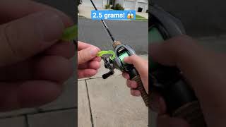 Insane baitcasting setup casts ultralight lures  shimano aldebaran bfs xg [upl. by Ezra616]