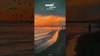 Neeyoru Puzhayayi  Song by Jayachandran  Thilakkam  Malayalam Songs  Status  trending [upl. by Svetlana]