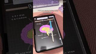 iPad note taking Dark mode 💗 aesthetic digital notes  take notes with me  iPad accessories  study [upl. by Ezar]