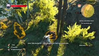 The Witcher 3 Wild Hunt Where is the CROWS eye part 1 [upl. by Natam]