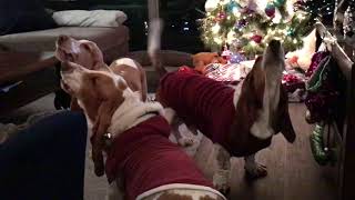 bassets christmas carols [upl. by Mavis853]