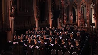 Barber  AGNUS DEI arr Adagio for Strings  Laurens Symfonisch  LIVE [upl. by Adnohsirk]