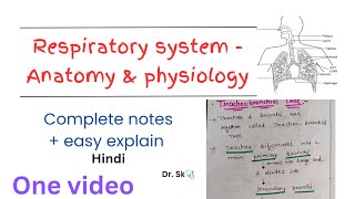 Complete Respiratory System  Anatomy amp Physiology notes in one video  hindi  easy explanation [upl. by Ayotl]