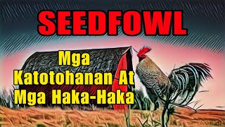 SEEDFOWL  KATOTOHANAN AT HAKAHAKA [upl. by Hadsall]