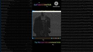 Curl Command Rick Roll Hack Surprise with a GIF [upl. by Maximilien]