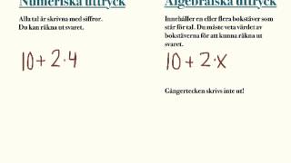 Numeriska och algebraiska uttryck [upl. by Remos575]