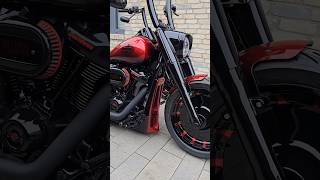 FATBOY HARLEY DAVIDSON 🔥 shorts trending viral youtubeshorts [upl. by Maighdiln]