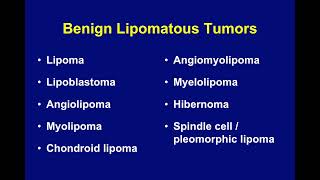 The Trouble wFat Diagnostic Issues wWellDifferentiated Lipomatous Tumors by John R Goldblum MD [upl. by Gnuhn107]